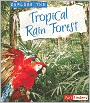 Explore the Tropical Rain Forest