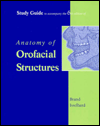 orofacial structures