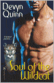 Soul of the Wildcat
