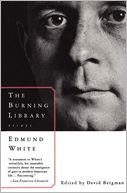 The Burning Library: Essays