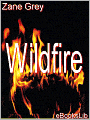 Wildfire