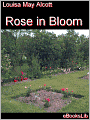 Rose in Bloom
