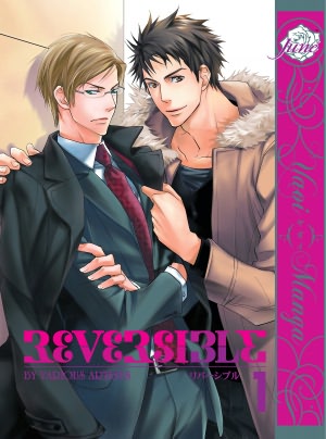 Reversible Vol. 1 (Yaoi Manga) - Nook Color Edition