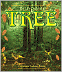 The Life Cycle of a Tree