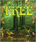 The Life Cycle of a Tree