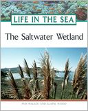 The Saltwater Wetland