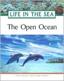 The Open Ocean