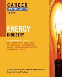 Career Opportunities in the Energy Industry
