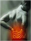 How Back Pain Starts-And Hurts To Bad To Ask Why