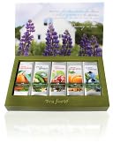 Herbal Retreat Single Steeps Sampler by Tea Forte: Product Image