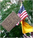 40 DAYS THAT SHOOK THE WORLD: From Occupy Wall Street to Occupy Everywhere