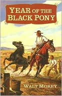 Year of the Black Pony by Walt Morey: Book Cover