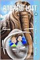 In the Ice Age (Andrew Lost Series #12)