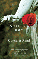 Invisible Boy (Madeline Dare Series #3)