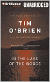 In the Lake of the Woods