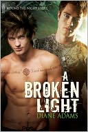 A Broken Light