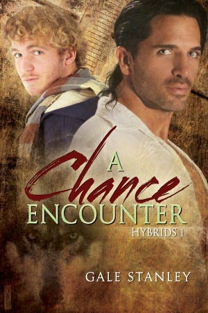 A Chance Encounter