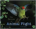 The Secrets of Animal Flight