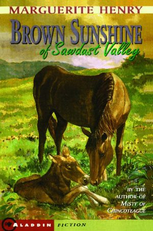 Brown Sunshine of Sawdust Valley