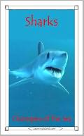Sharks by Caitlind Alexander: NOOK Book Cover