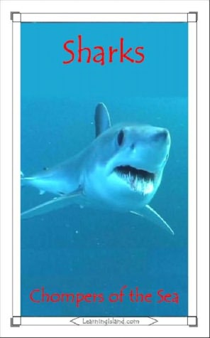 Sharks: Chompers of the Sea