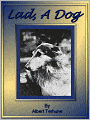 Lad: A Dog