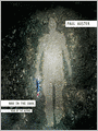Man in the Dark