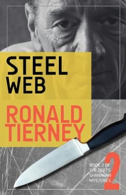 Steel Web: Book 2 of the Deets Shanahan Mysteries