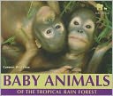 Baby Animals of the Tropical Rain Forest