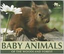 Baby Animals of the Woodland Forest