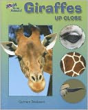 Giraffes Up Close