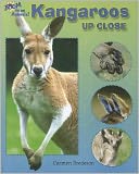 Kangaroos Up Close