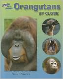 Orangutans Up Close