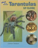 Tarantulas Up Close