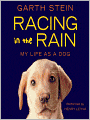 Racing in the Rain: My Life as a Dog