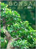 Bonsai Tips and Advice