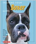 Training Your Boxer