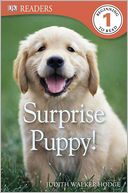 Surprise Puppy (DK Readers Series Level 1)