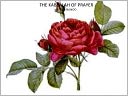 THE KABBALAH OF PRAYER