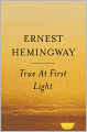 True at First Light: A Fictional Memoir