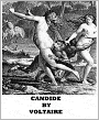 Candide