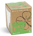 "Good Luck" Lucky Clover Grow Me Kit by Gift Republic: Product Image