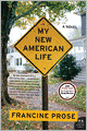 My New American Life