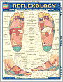 Reflexology