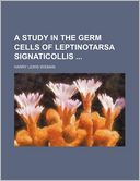 A Study in the Germ Cells of Leptinotarsa Signaticollis