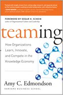 download Teaming : How Organizations Learn book