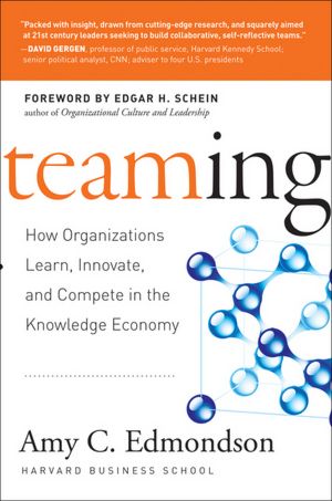 Teaming: How Organizations Learn