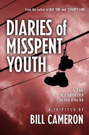 Diaries of Misspent Youth