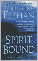 Spirit Bound (Sea Haven: Sisters of the Heart Series #2)