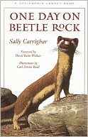 One Day on Beetle Rock